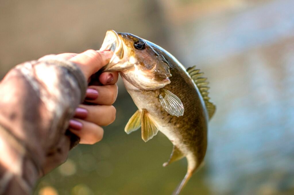 Woman holding a bass fish